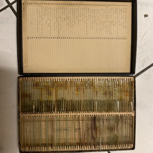 Alte mikroskopische präparate - alte,